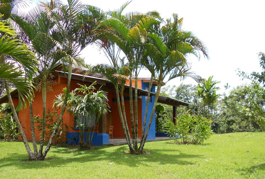 Comfort Arenal La Fortuna Rum bild