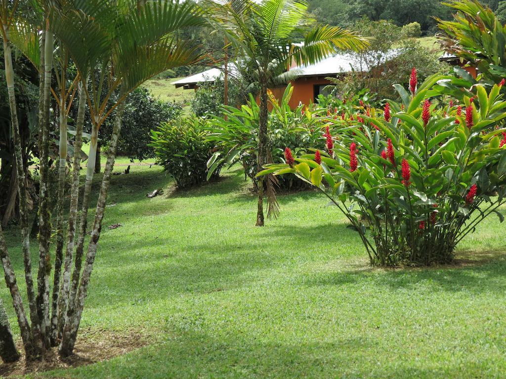 Comfort Arenal La Fortuna Exteriör bild
